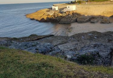 Excursión Senderismo Royan - St Palais  - Photo