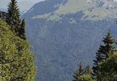 Percorso Marcia Samoëns - Lac de Gers - Photo