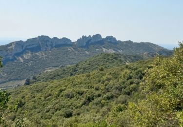 Trail Walking Gigondas - Les Florets Lencieux Pas de l'Aigle - Photo