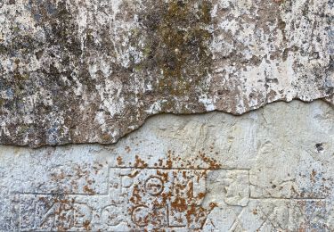 Tour Wandern Cras - Guillot Gironde Cras Murcens  - Photo