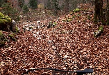 Excursión Bici de montaña Les Déserts - VTT La Féclaz 25km - Photo