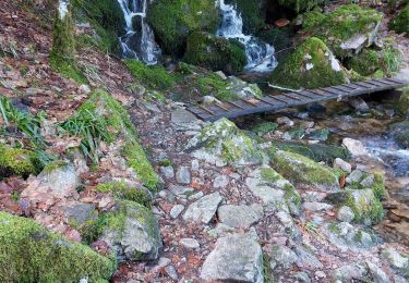 Tocht Stappen Stosswihr - Saegmatt Cascade de Stolz Ablass Frankenthal - Photo