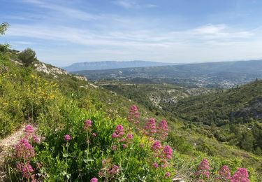 Randonnée Marche Roquevaire -  13 ROQUEVAIRE Col et Mont des Marseillais - Photo