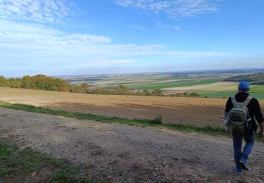 Tour Wandern Torvilliers - Bucey 29102024RE - Photo