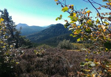 Trail Walking Saint-Ours - 2019-09-12 - Puy des Gouttes - Puy Chopine -Puy Coquille - Puy de Jumes - Photo