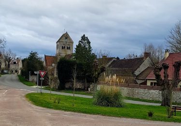 Trail Walking Montigny-l'Allier - Montigny l'Allier du 20/02/2020 - Photo