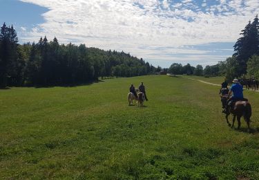 Percorso Equitazione Longchaumois - rando Jura 2020 route j3 - Photo