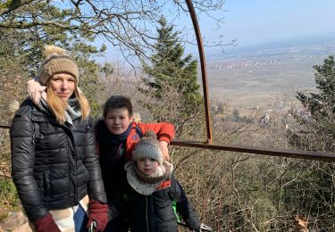 Tour Wandern Pfaffenheim - Schauenberg kukuckstein - Photo