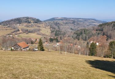 Trail Walking Mandray - Journaux Fraize reconnue - Photo