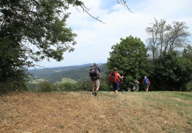 Trail Walking La Baroche - Les Rangiers - Photo