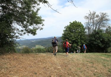 Excursión Senderismo La Baroche - Les Rangiers - Photo