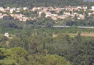 Trail Walking Aujargues - Aujarc Junas - Photo