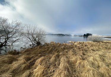 Trail Walking Besse-et-Saint-Anastaise - Anglade Bourdouze  - Photo