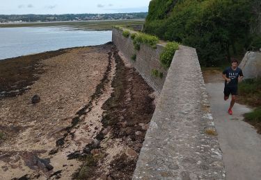 Tocht Stappen Saint-Vaast-la-Hougue - tour de la hougue - Photo