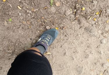 Tocht Stappen Sainte-Luce - Plage de Ste Luce, parcours santé  - Photo