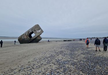 Tocht Stappen Lanchères - Le Hourdel - Photo