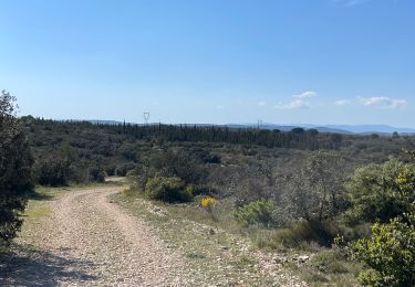 Tour Wandern Nîmes - Clos de Gaillard - Photo