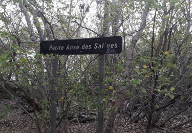 Tour Wandern Sainte-Anne - Caritan l'écluse aller aller-retour  - Photo