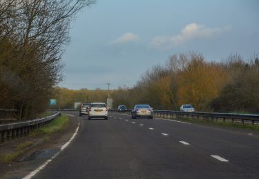 Tocht Te voet West Oxfordshire - Windrush Path - Photo