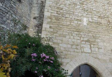 Tocht Te voet Saint-Mitre-les-Remparts - Du Crépon aux Rocalèdes - Photo