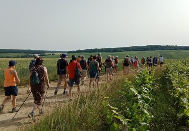 Tour Wandern Essômes-sur-Marne - Crogis ADR du 18-06-2022 - Photo