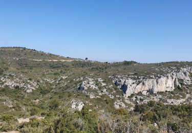 Tour Wandern Allauch - Pichauris les balcons - Photo