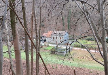 Trail Walking Aywaille - sedoz - vert-buisson (via ninglinspo) - porallée - vieux chera - sedoz - Photo