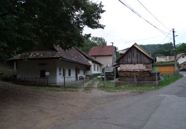 Excursión A pie okres Žiar nad Hronom - NCH Kotlište - Photo