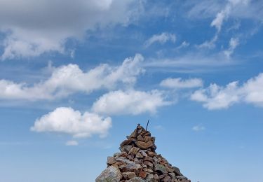 Randonnée Marche Cazaux-Fréchet-Anéran-Camors - Pic du Lion par le vallon de Balencous - Photo