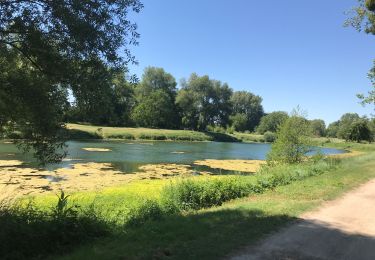 Randonnée V.T.T. Saint-Jean-de-la-Ruelle - Orleans-Meung-sur-Loire -39.2km-2h30 - Photo