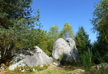 Tour Zu Fuß Fournols - fournols les pierres folles - Photo