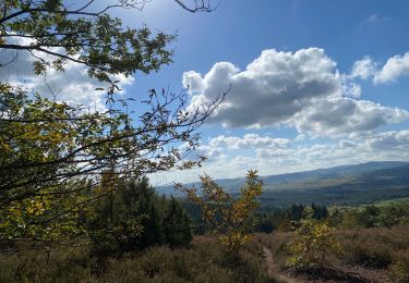 Tour Wandern Chevagny-les-Chevrières - 12.09.2021 - Photo