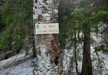 Randonnée Raquettes à neige Bellecombe - les 3 Cheminées - Photo