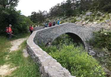 Trail Walking La Bastide - La bastide-Bargème (A/R) - Photo