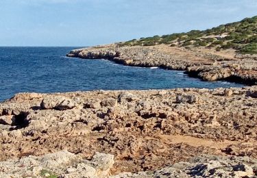 Randonnée Marche Sant Llorenç des Cardassar - castel de la punta de n'amer  - Photo