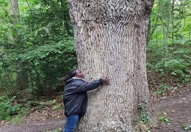 Trail Walking Méry-sur-Oise - J Auvers MeryMeriel - Photo