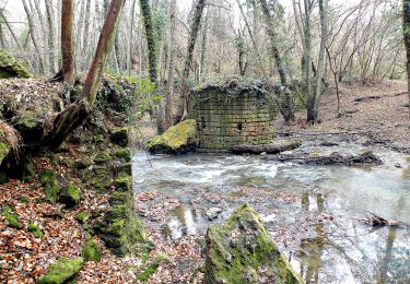 Trail On foot Canale Monterano - IT-264 - Photo