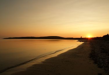 Percorso A piedi  - Ordrup næs - Korup skov - Photo