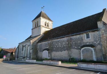 Randonnée Marche Saint-Georges-sur-Cher - Saint-Georges-sur-Cher - la Chaise Jarnac la Vallée Pitrou - 8.7km 70m 2h00 - 2017 03 30 - Photo