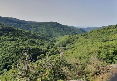 Randonnée Marche Castans - CASTANS-LAVIALE+PIC DE PEYREMAUX en boucle - Photo