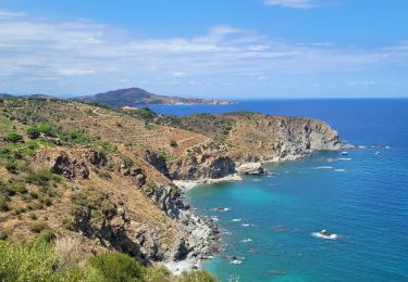 Randonnée Marche Banyuls-sur-Mer - Banyuls_Peyrefite_bis_T - Photo
