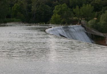 Randonnée A pied Serinyà - Pla de Martís i Fluvià - Photo