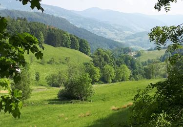 Tour Wandern Urbeis - Col du Wettstein, le circuit des sources par les Basses Huttes - Photo