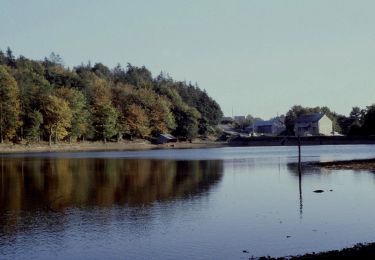 Tour Zu Fuß La Chapelle-Bouëxic - Le Chêne au Loup - Photo