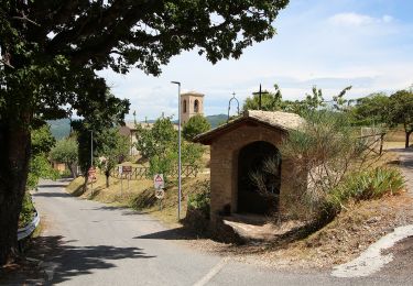 Tocht Te voet Assisi - IT-361 - Photo