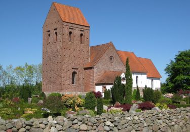 Excursión A pie  - Vorbasse Hjertesti - Gul - Photo