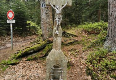 Trail Walking Sainte-Croix-aux-Mines - boucle col haut de Ribeauvillé - taennchel sentier des roches  - Photo