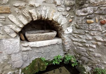 Tour Wandern Saint-Marcel-d'Ardèche - rando octobre rose - Photo