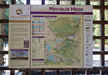 Percorso Marcia Maasmechelen - Mechelse Heide - Photo