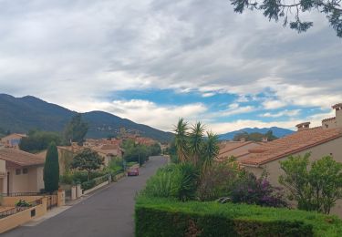 Tocht Stappen Laroque-des-Albères - pain du dimanche à sorede  - Photo